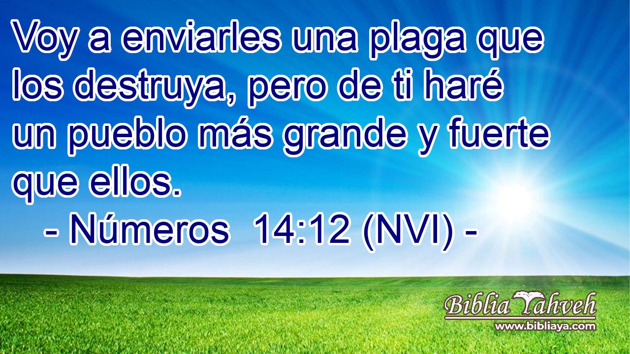  Voy a enviarles una plaga que los destruya, pero de ti haré un pueblo más grande y fuerte que ellos. 