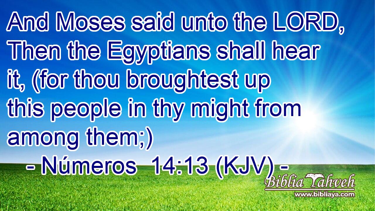 And Moses said unto the LORD, Then the Egyptians shall hear it, (for thou broughtest up this people in thy might from among them;)