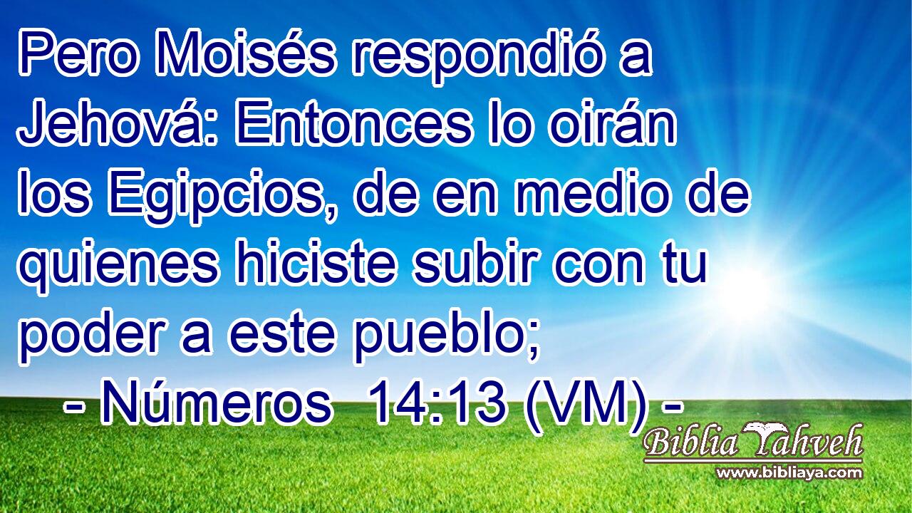  Pero Moisés respondió a Jehová: Entonces lo oirán los Egipcios, de en medio de quienes hiciste subir con tu poder a este pueblo; 