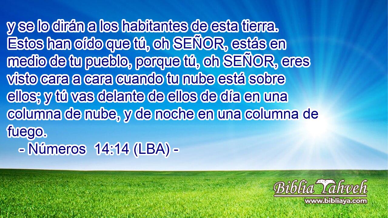 y se lo dirán a los habitantes de esta tierra. Estos han oído que tú, oh SEÑOR, estás en medio de tu pueblo, porque tú, oh SEÑOR, eres visto cara a cara cuando tu nube está sobre ellos; y tú vas delante de ellos de día en una columna de nube, y de noche en una columna de fuego.