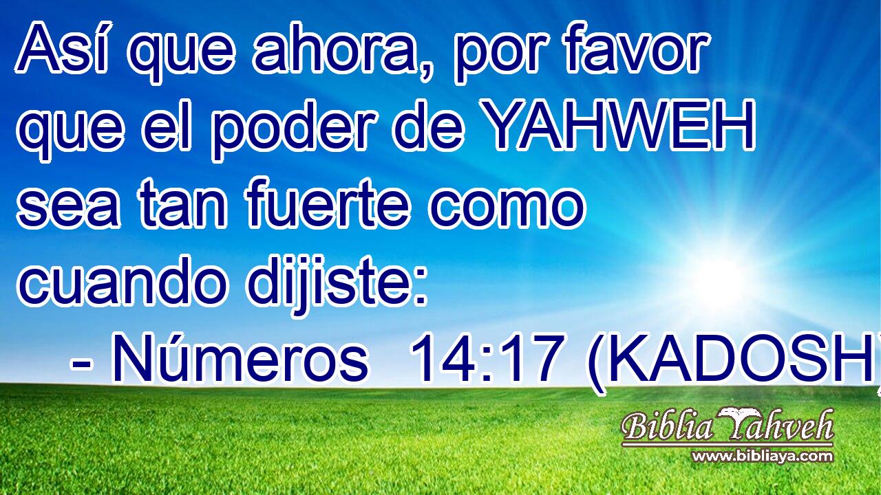  Así que ahora, por favor que el poder de YAHWEH sea tan fuerte como cuando dijiste: 