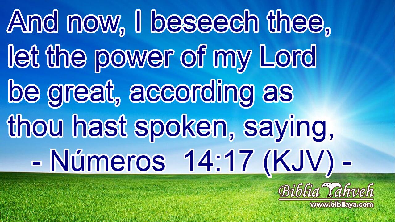 And now, I beseech thee, let the power of my Lord be great, according as thou hast spoken, saying,