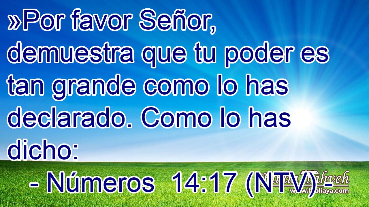»Por favor Señor, demuestra que tu poder es tan grande como lo has declarado. Como lo has dicho: