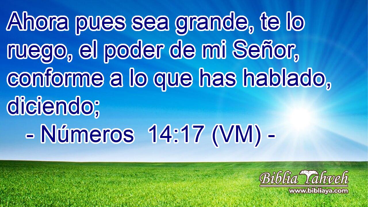  Ahora pues sea grande, te lo ruego, el poder de mi Señor, conforme a lo que has hablado, diciendo; 