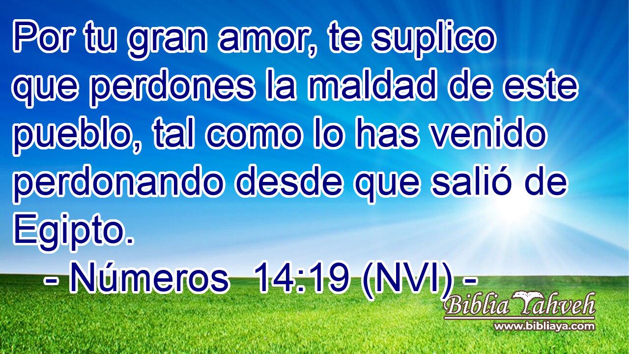  Por tu gran amor, te suplico que perdones la maldad de este pueblo, tal como lo has venido perdonando desde que salió de Egipto. 
