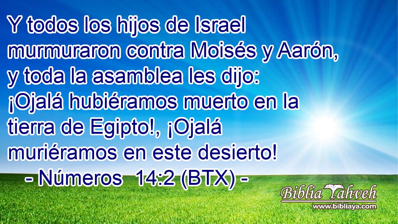 Y todos los hijos de Israel murmuraron contra Moisés y Aarón, y toda la asamblea les dijo: ¡Ojalá hubiéramos muerto en la tierra de Egipto!, ¡Ojalá muriéramos en este desierto!