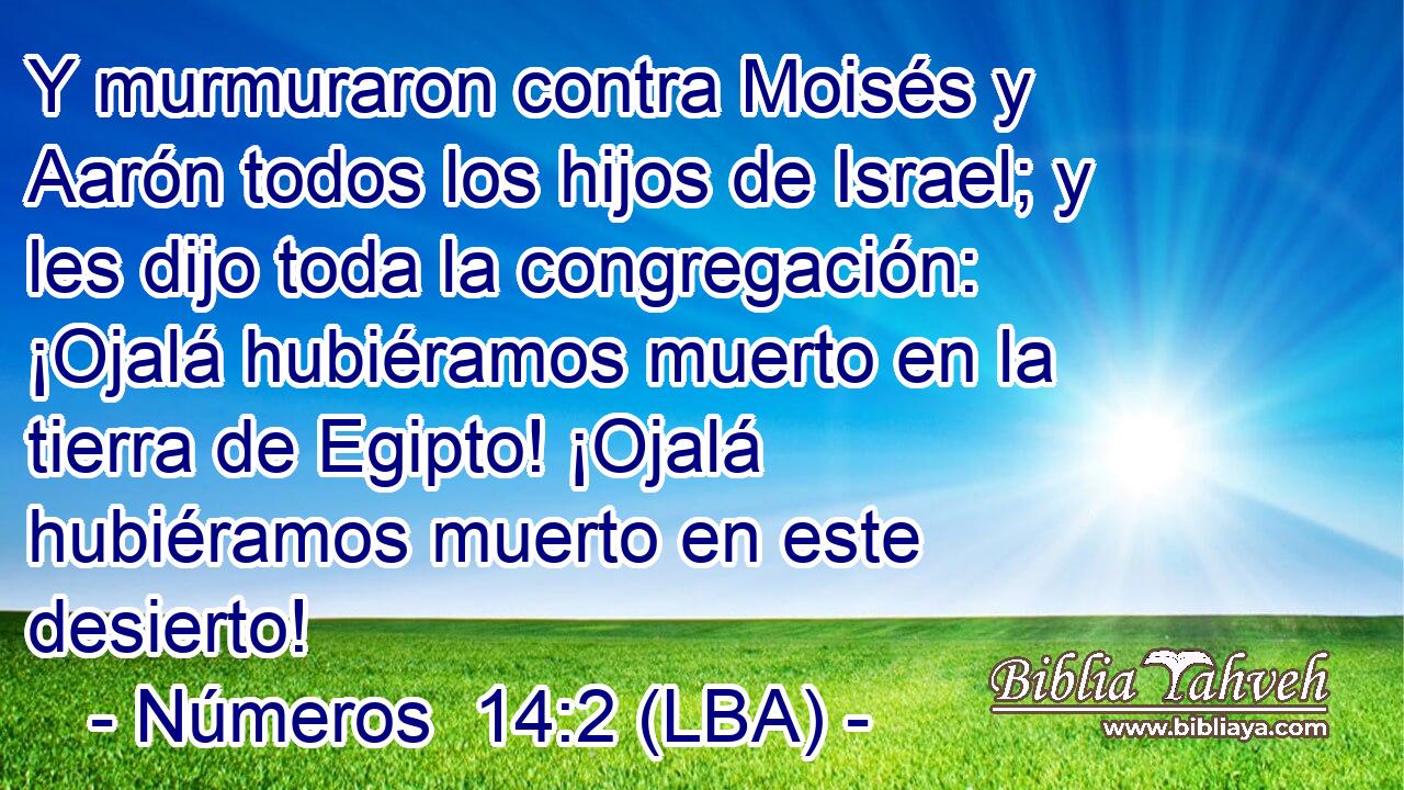 Y murmuraron contra Moisés y Aarón todos los hijos de Israel; y les dijo toda la congregación: ¡Ojalá hubiéramos muerto en la tierra de Egipto! ¡Ojalá hubiéramos muerto en este desierto!