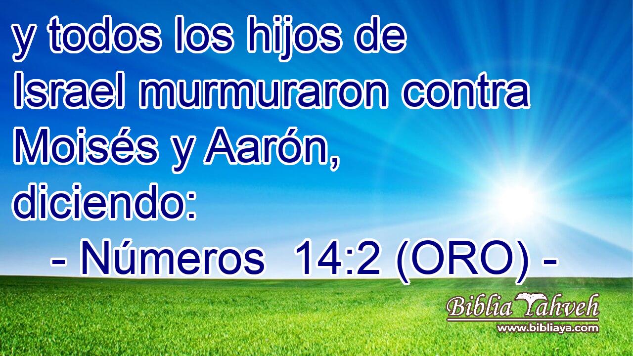 y todos los hijos de Israel murmuraron contra Moisés y Aarón, diciendo: 