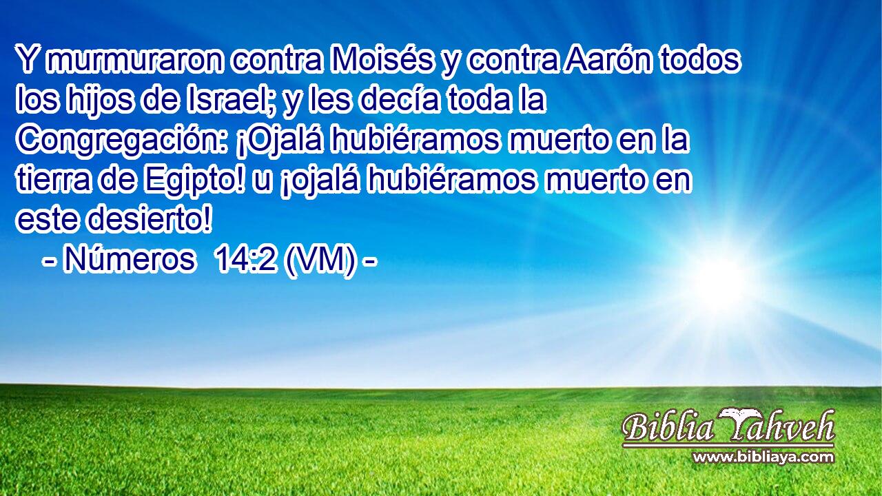  Y murmuraron contra Moisés y contra Aarón todos los hijos de Israel; y les decía toda la Congregación: ¡Ojalá hubiéramos muerto en la tierra de Egipto! u ¡ojalá hubiéramos muerto en este desierto! 