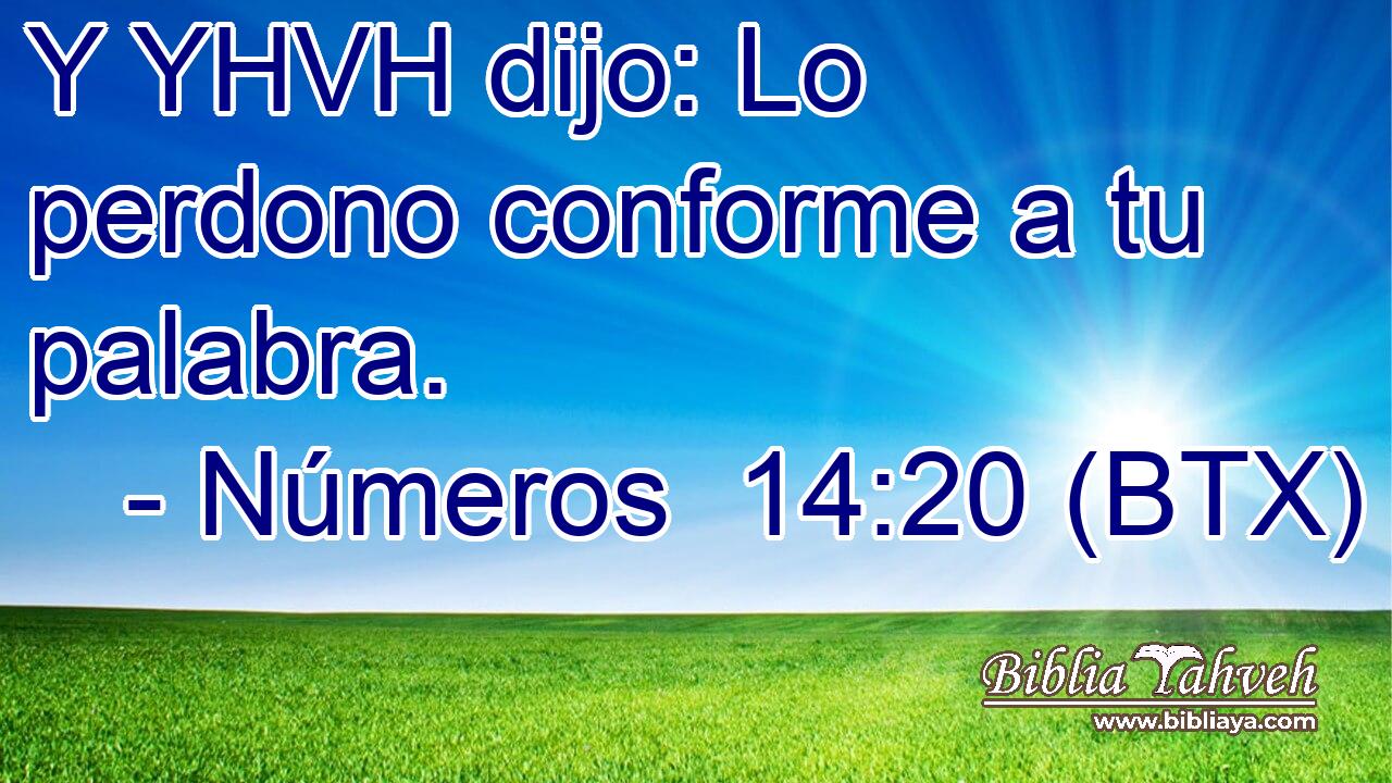 Y YHVH dijo: Lo perdono conforme a tu palabra.