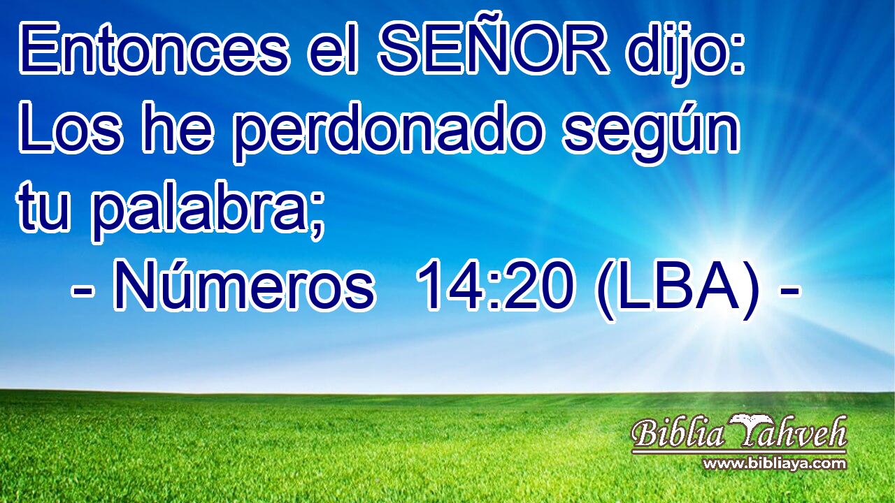 Entonces el SEÑOR dijo: Los he perdonado según tu palabra;