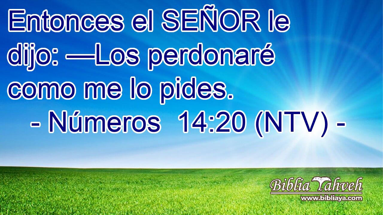 Entonces el SEÑOR le dijo: —Los perdonaré como me lo pides.