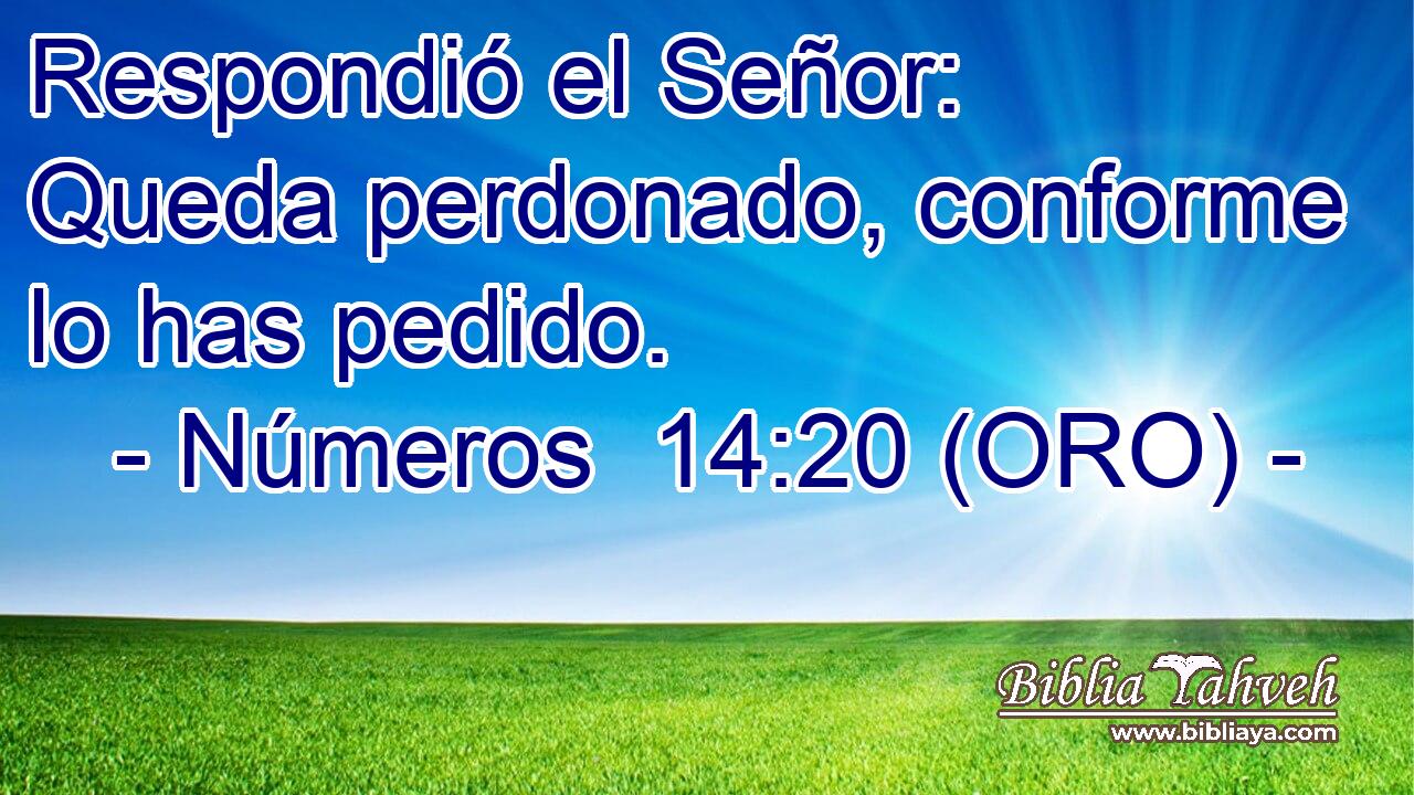  Respondió el Señor: Queda perdonado, conforme lo has pedido. 