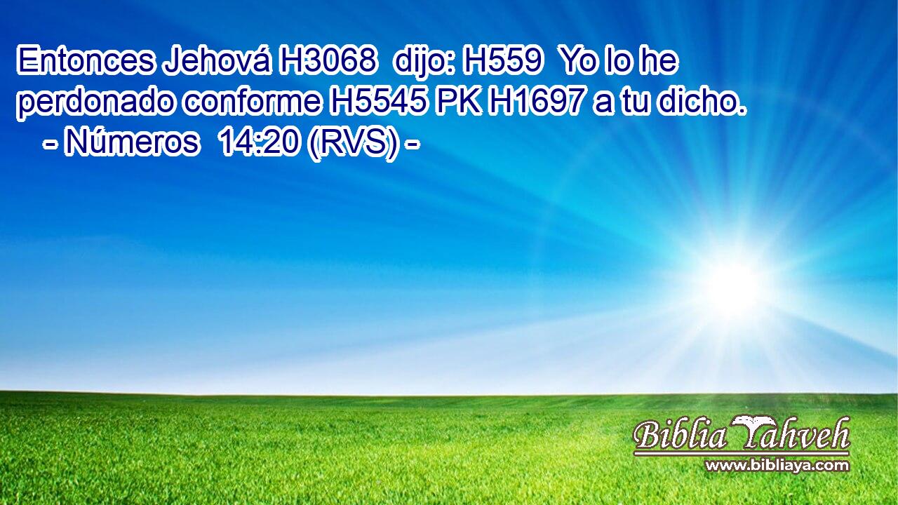 Entonces Jehová H3068  dijo: H559  Yo lo he perdonado conforme H5545 PK H1697 a tu dicho. 