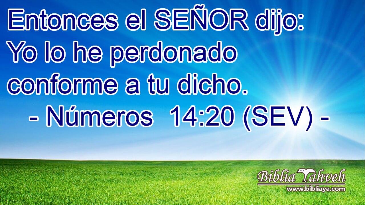 Entonces el SEÑOR dijo: Yo lo he perdonado conforme a tu dicho.
