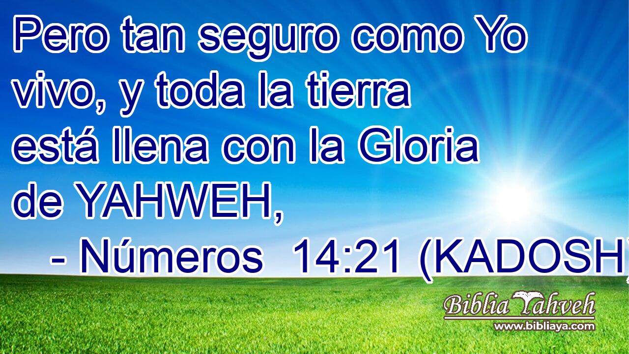  Pero tan seguro como Yo vivo, y toda la tierra está llena con la Gloria de YAHWEH, 