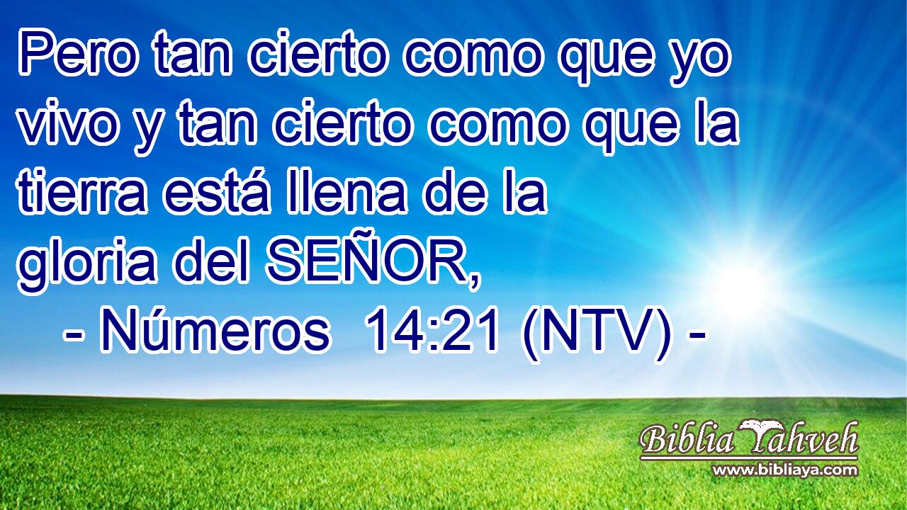 Pero tan cierto como que yo vivo y tan cierto como que la tierra está llena de la gloria del SEÑOR,
