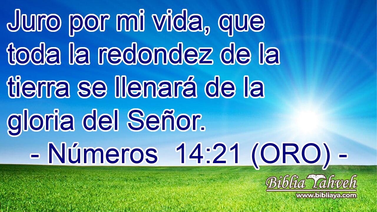  Juro por mi vida, que toda la redondez de la tierra se llenará de la gloria del Señor. 