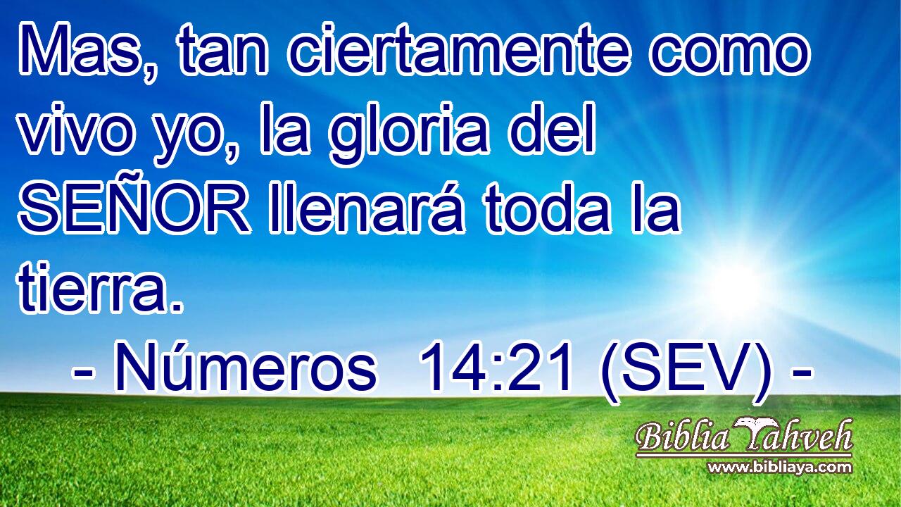 Mas, tan ciertamente como vivo yo, la gloria del SEÑOR llenará toda la tierra.