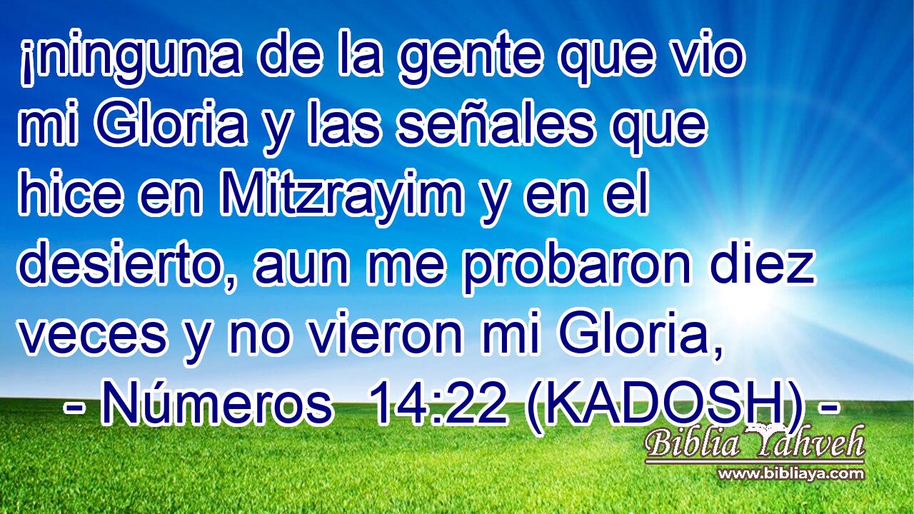  ¡ninguna de la gente que vio mi Gloria y las señales que hice en Mitzrayim y en el desierto, aun me probaron diez veces y no vieron mi Gloria, 