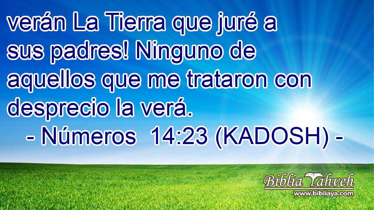  verán La Tierra que juré a sus padres! Ninguno de aquellos que me trataron con desprecio la verá. 