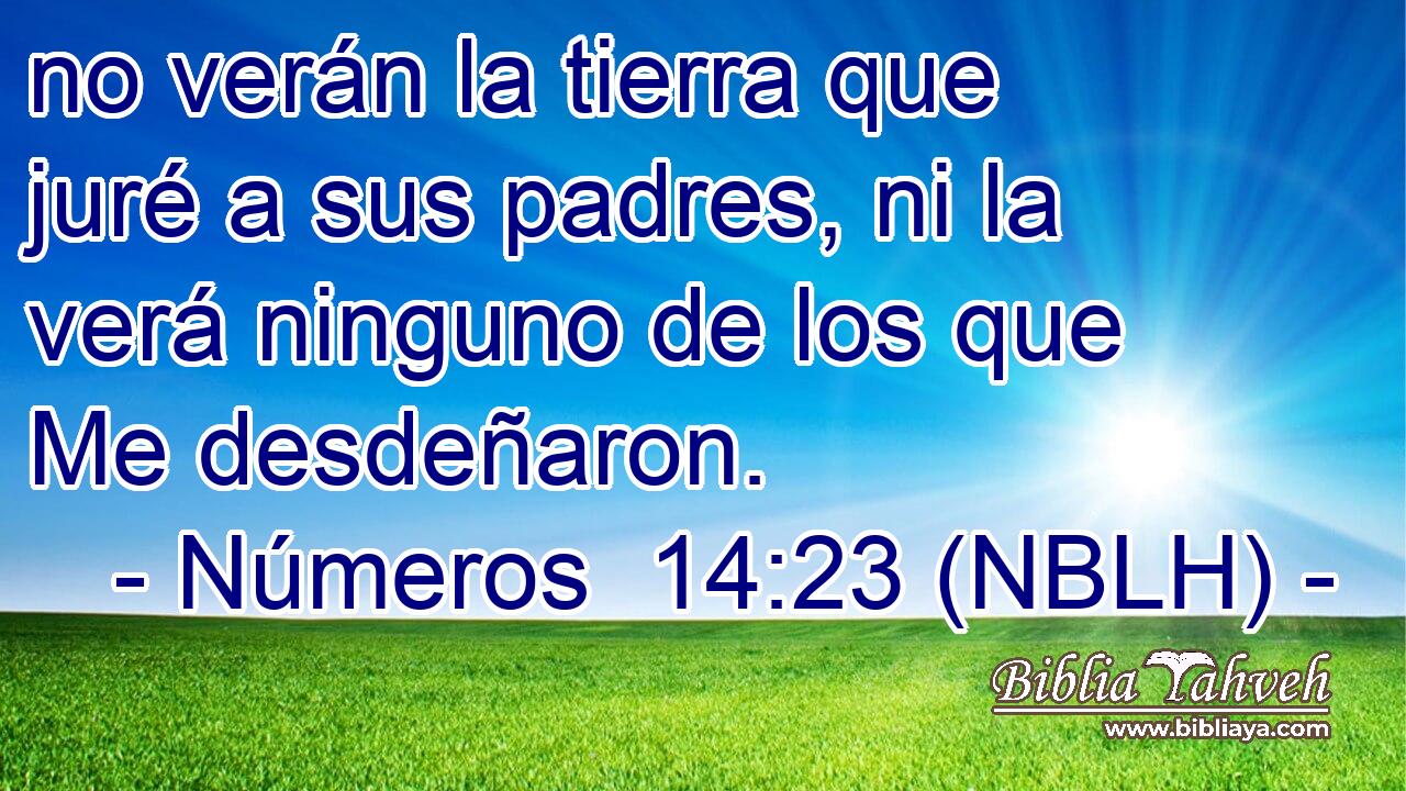  no verán la tierra que juré a sus padres, ni la verá ninguno de los que Me desdeñaron. 