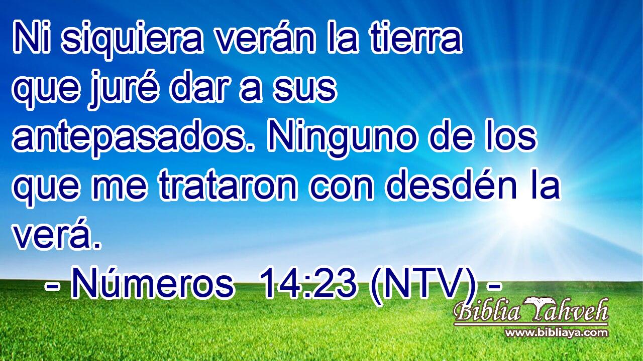 Ni siquiera verán la tierra que juré dar a sus antepasados. Ninguno de los que me trataron con desdén la verá.