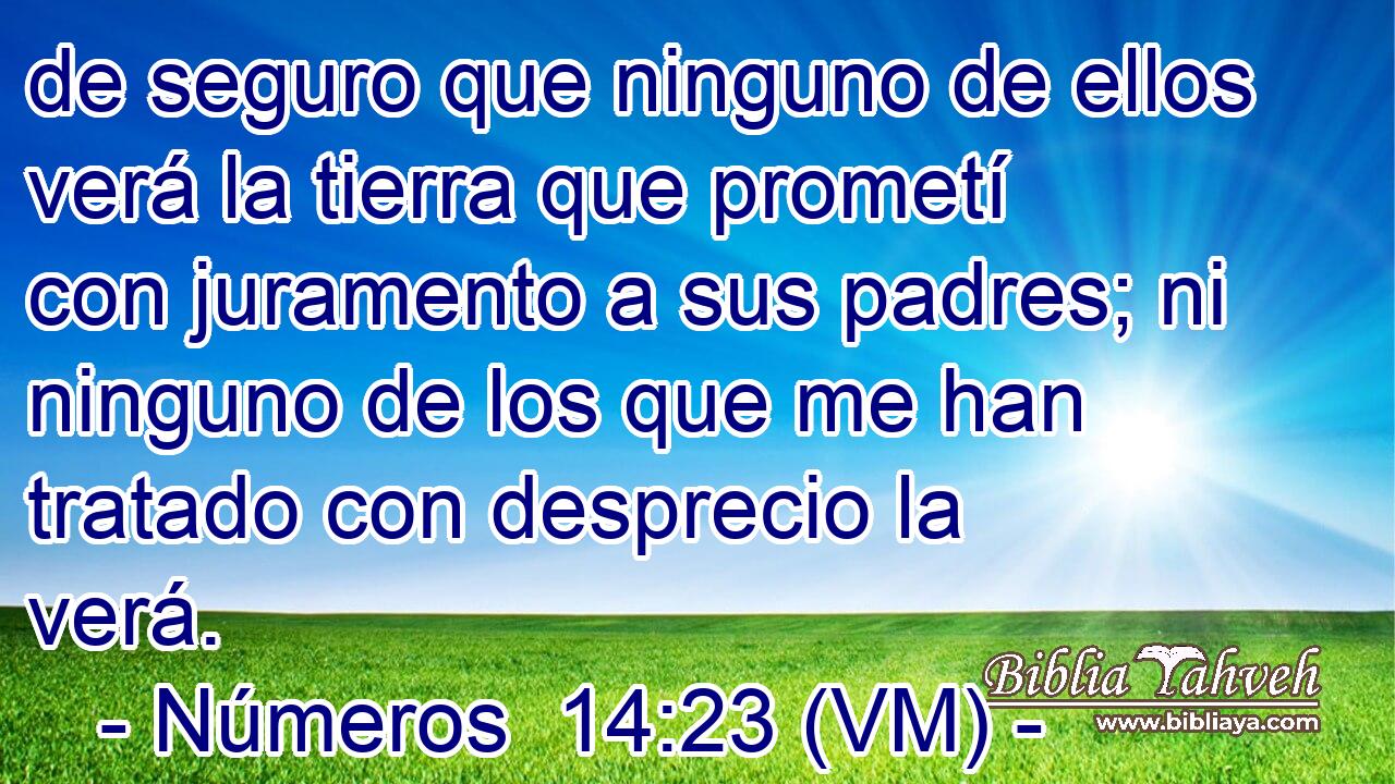  de seguro que ninguno de ellos verá la tierra que prometí con juramento a sus padres; ni ninguno de los que me han tratado con desprecio la verá. 