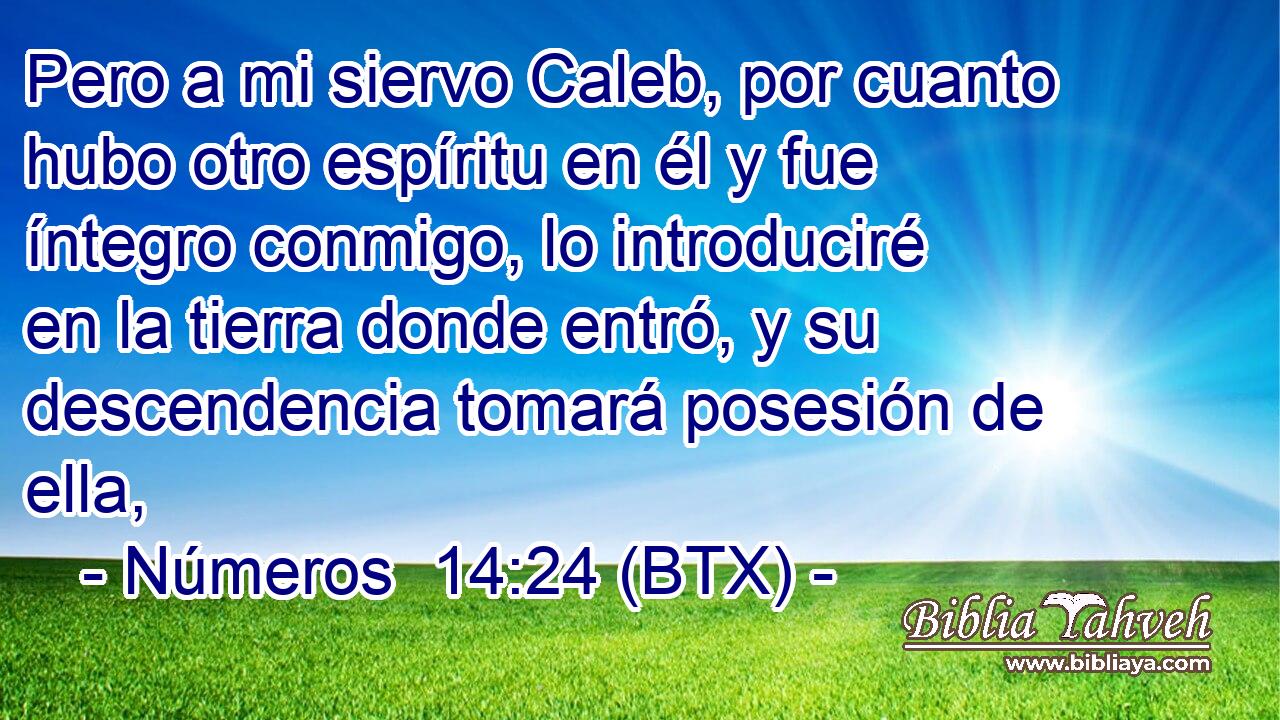 Pero a mi siervo Caleb, por cuanto hubo otro espíritu en él y fue íntegro conmigo, lo introduciré en la tierra donde entró, y su descendencia tomará posesión de ella,