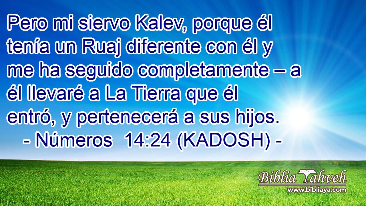  Pero mi siervo Kalev, porque él tenía un Ruaj diferente con él y me ha seguido completamente – a él llevaré a La Tierra que él entró, y pertenecerá a sus hijos. 