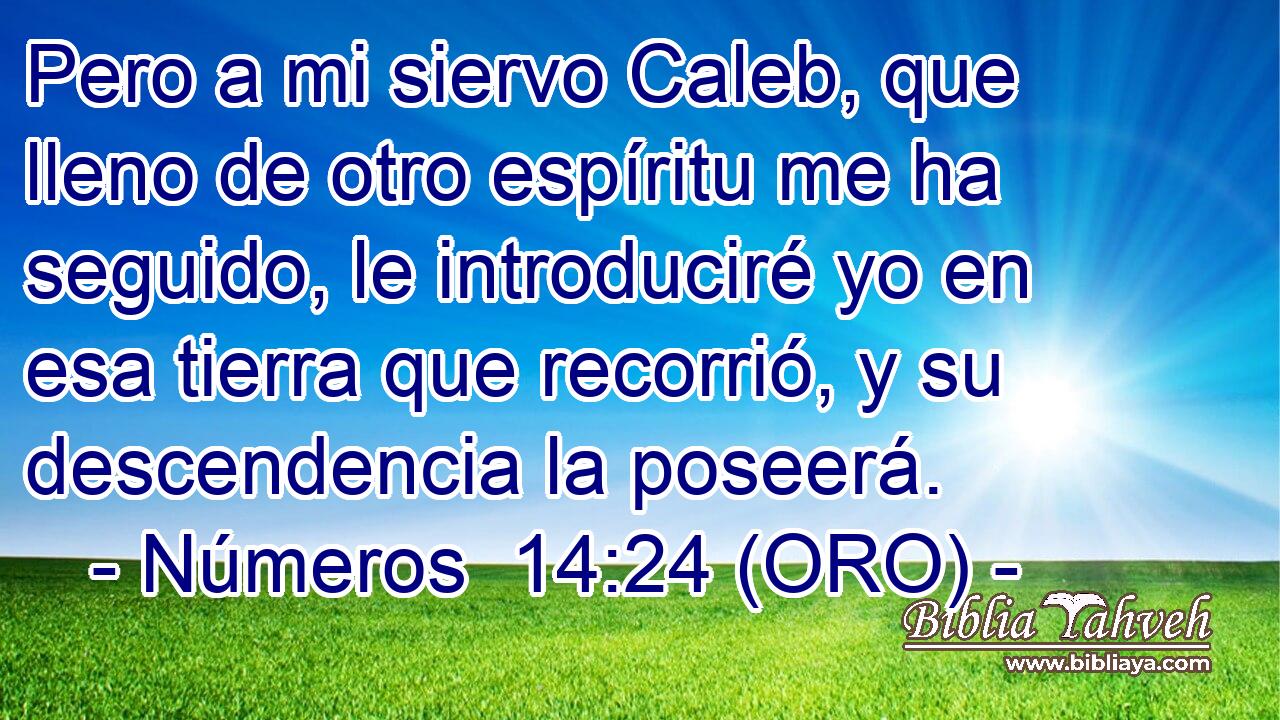  Pero a mi siervo Caleb, que lleno de otro espíritu me ha seguido, le introduciré yo en esa tierra que recorrió, y su descendencia la poseerá. 