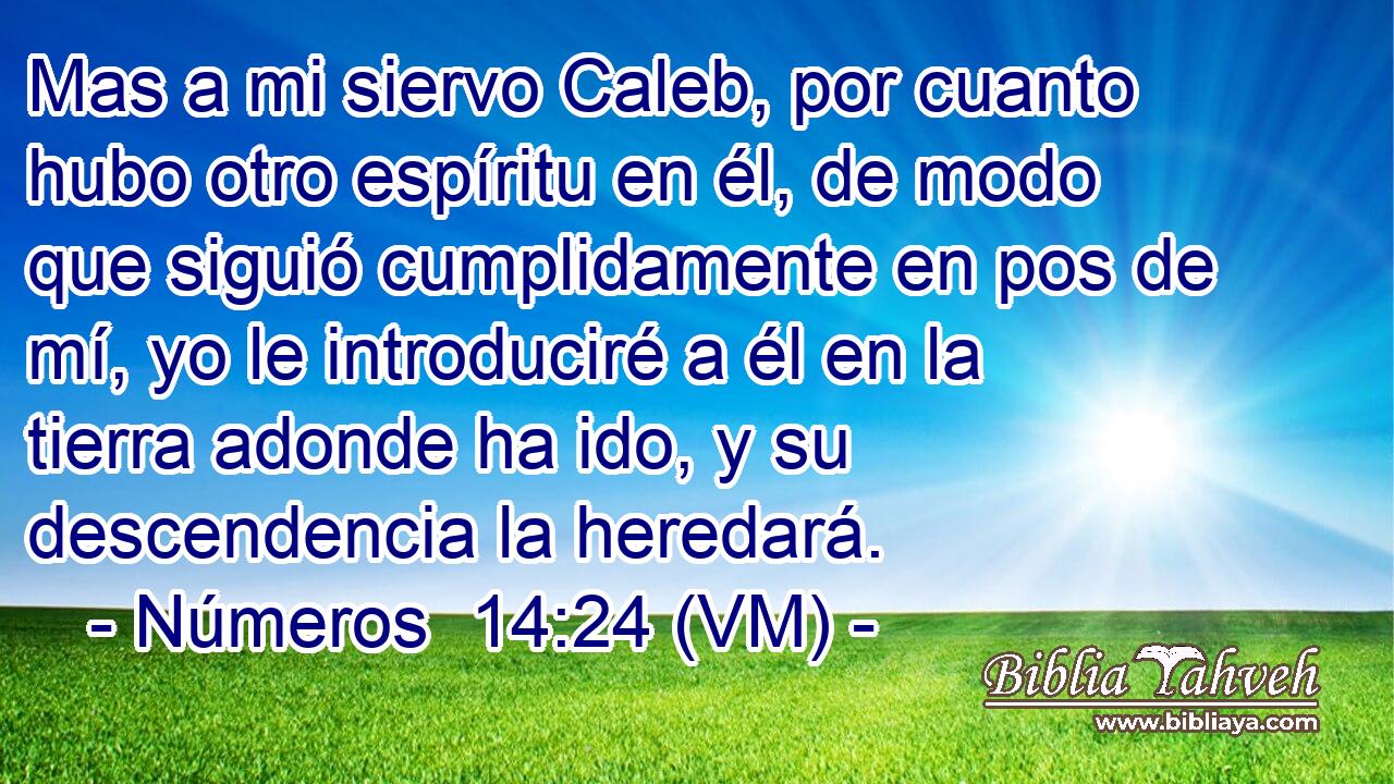  Mas a mi siervo Caleb, por cuanto hubo otro espíritu en él, de modo que siguió cumplidamente en pos de mí, yo le introduciré a él en la tierra adonde ha ido, y su descendencia la heredará. 