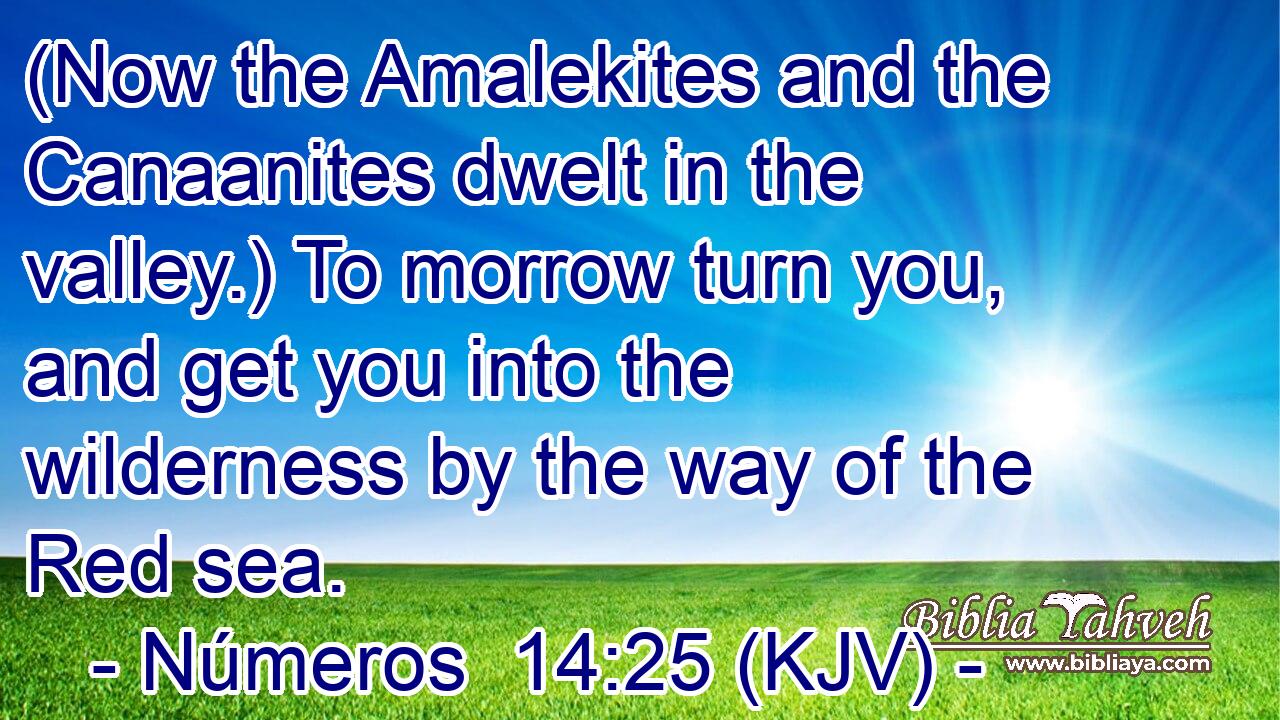 (Now the Amalekites and the Canaanites dwelt in the valley.) To morrow turn you, and get you into the wilderness by the way of the Red sea.