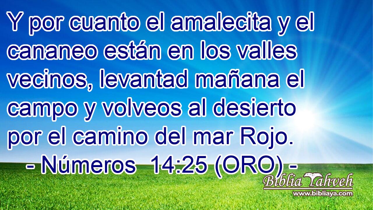  Y por cuanto el amalecita y el cananeo están en los valles vecinos, levantad mañana el campo y volveos al desierto por el camino del mar Rojo. 
