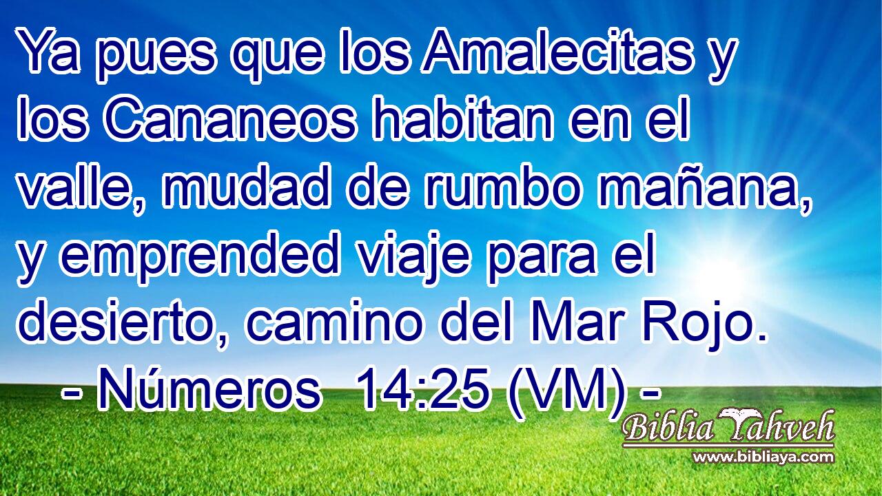  Ya pues que los Amalecitas y los Cananeos habitan en el valle, mudad de rumbo mañana, y emprended viaje para el desierto, camino del Mar Rojo. 