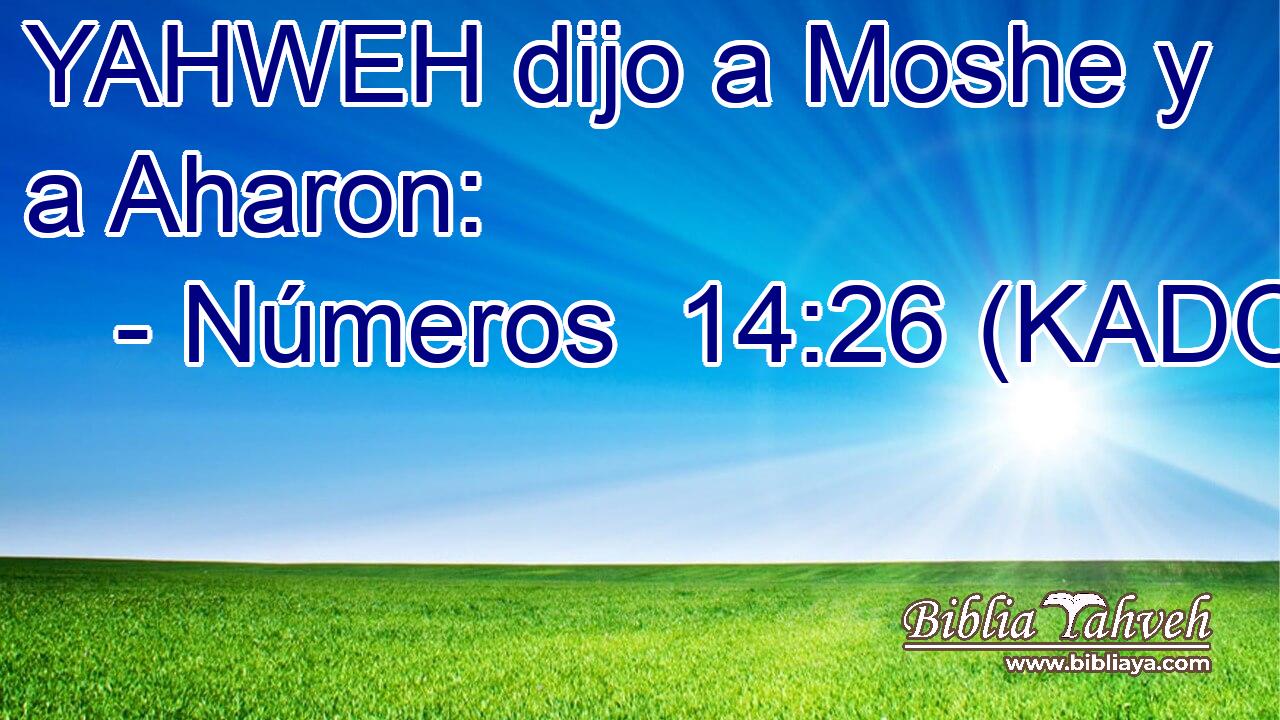  YAHWEH dijo a Moshe y a Aharon: 