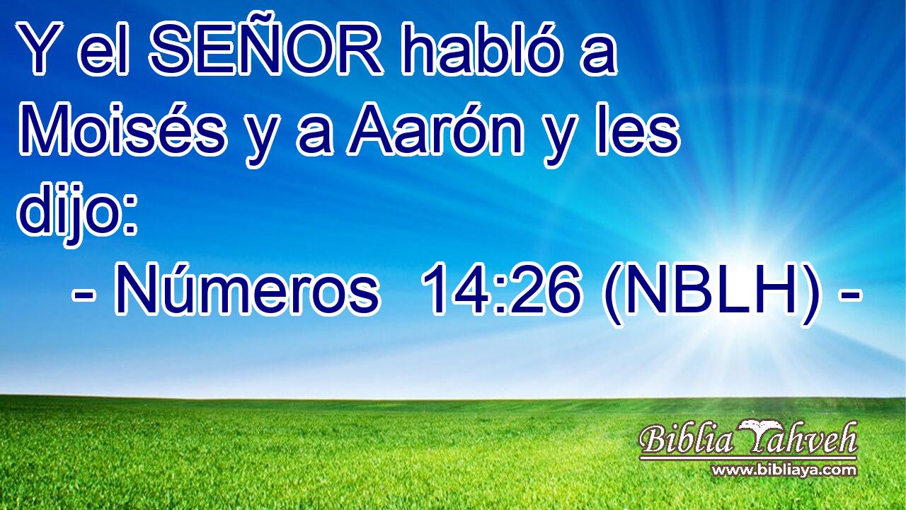  Y el SEÑOR habló a Moisés y a Aarón y les dijo: 