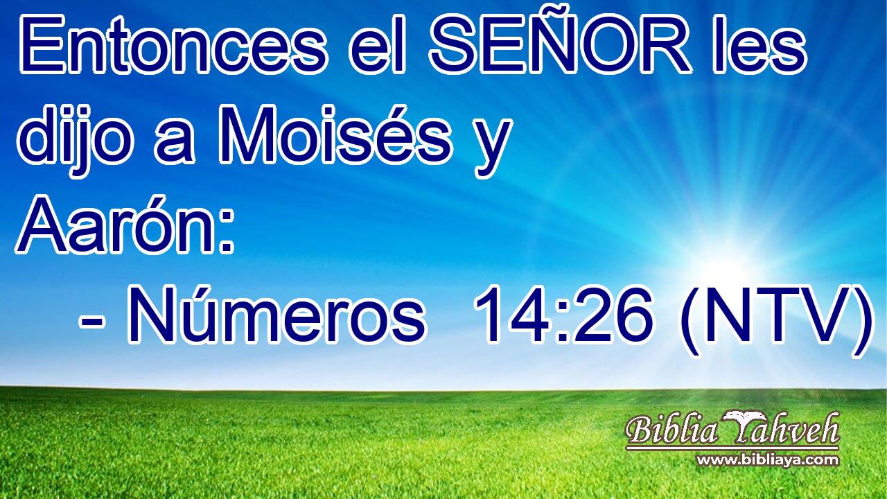 Entonces el SEÑOR les dijo a Moisés y Aarón: