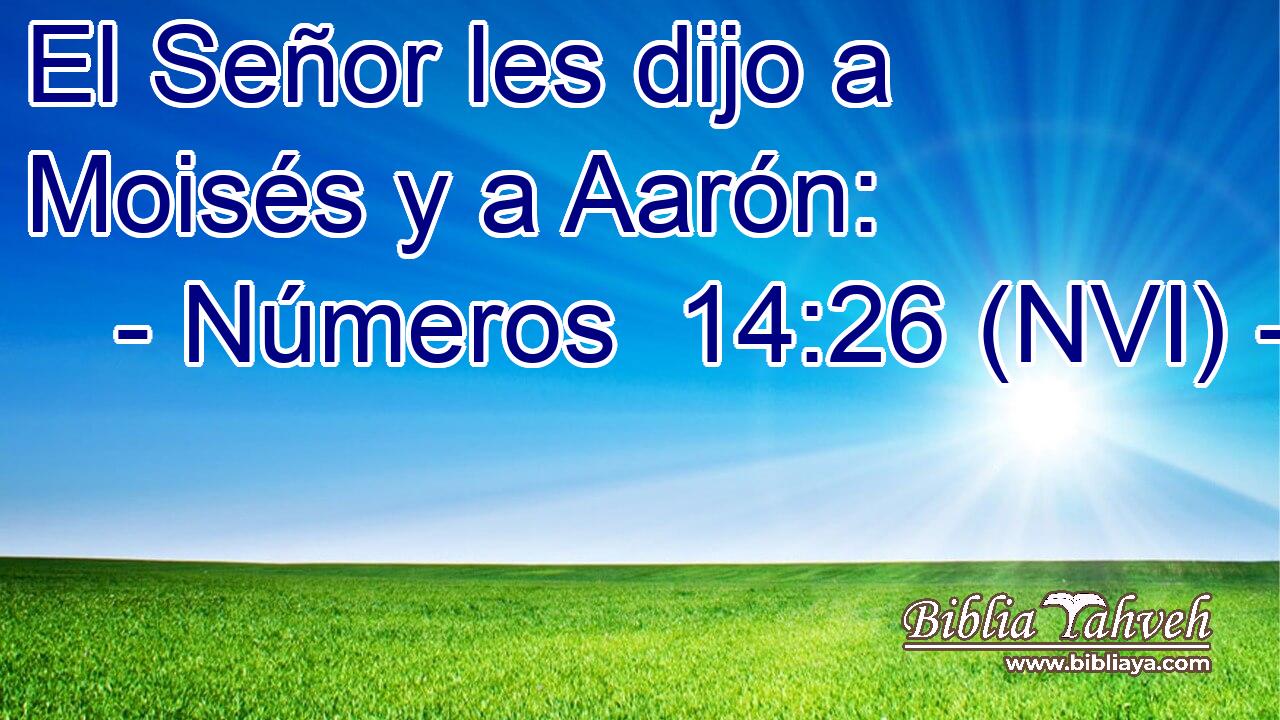  El Señor les dijo a Moisés y a Aarón: 