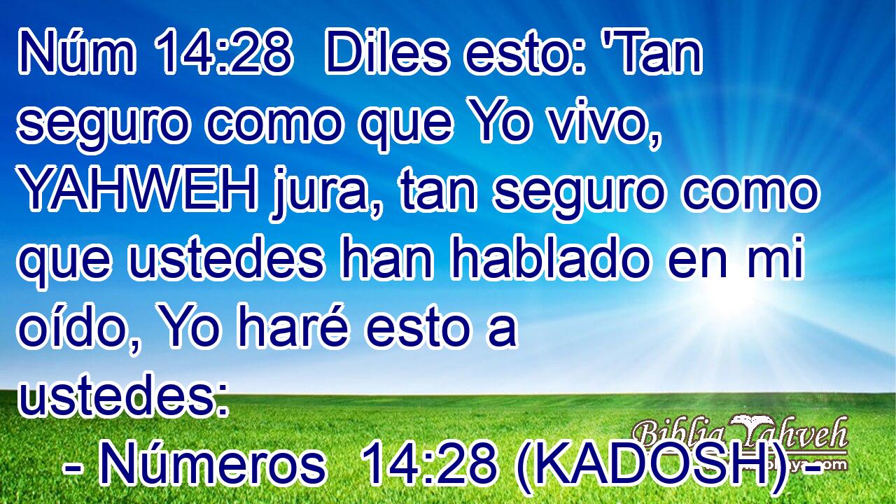 Diles esto: 'Tan seguro como que Yo vivo, YAHWEH jura, tan seguro como que ustedes han hablado en mi oído, Yo haré esto a ustedes: 