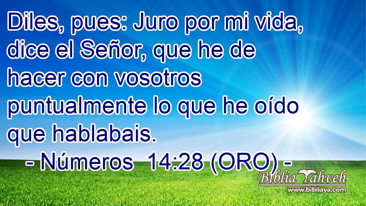  Diles, pues: Juro por mi vida, dice el Señor, que he de hacer con vosotros puntualmente lo que he oído que hablabais. 