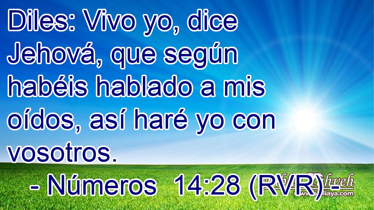 Diles: Vivo yo, dice Jehová, que según habéis hablado a mis oídos, así haré yo con vosotros.