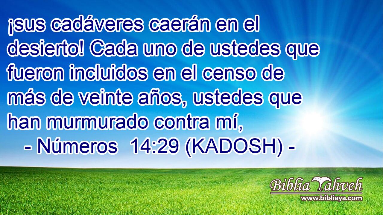  ¡sus cadáveres caerán en el desierto! Cada uno de ustedes que fueron incluidos en el censo de más de veinte años, ustedes que han murmurado contra mí, 