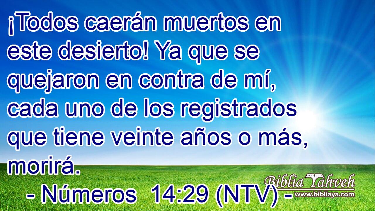 ¡Todos caerán muertos en este desierto! Ya que se quejaron en contra de mí, cada uno de los registrados que tiene veinte años o más, morirá.