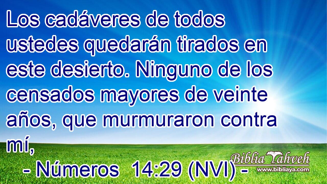  Los cadáveres de todos ustedes quedarán tirados en este desierto. Ninguno de los censados mayores de veinte años, que murmuraron contra mí, 