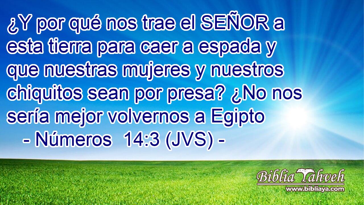 ¿Y por qué nos trae el SEÑOR a esta tierra para caer a espada y que nuestras mujeres y nuestros chiquitos sean por presa? ¿No nos sería mejor volvernos a Egipto