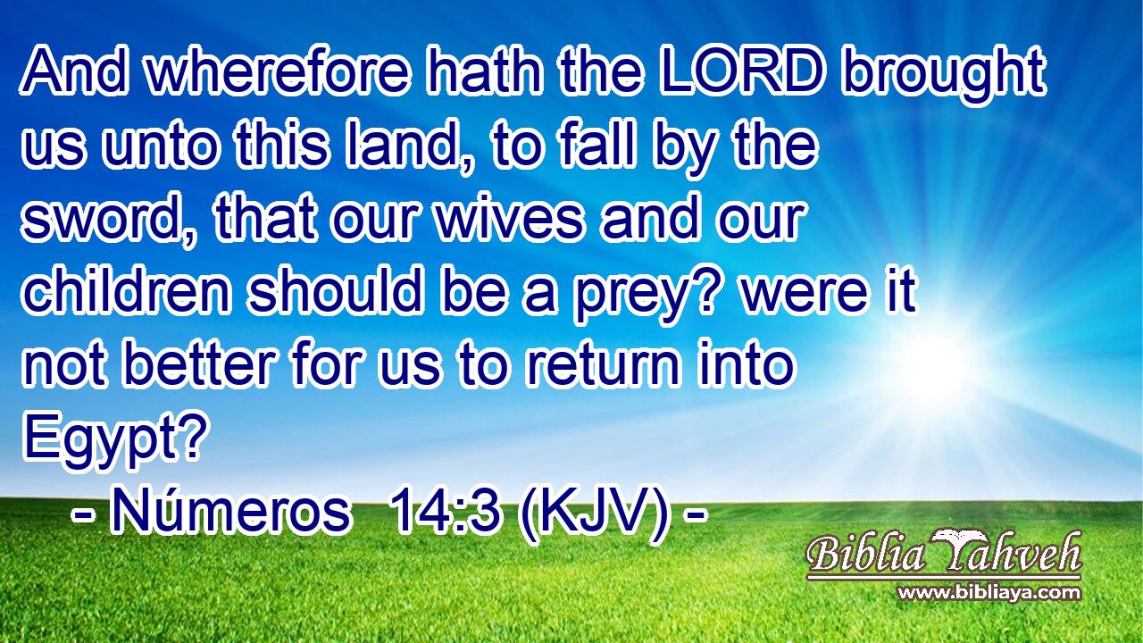 And wherefore hath the LORD brought us unto this land, to fall by the sword, that our wives and our children should be a prey? were it not better for us to return into Egypt?