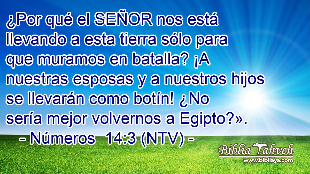 ¿Por qué el SEÑOR nos está llevando a esta tierra sólo para que muramos en batalla? ¡A nuestras esposas y a nuestros hijos se llevarán como botín! ¿No sería mejor volvernos a Egipto?».