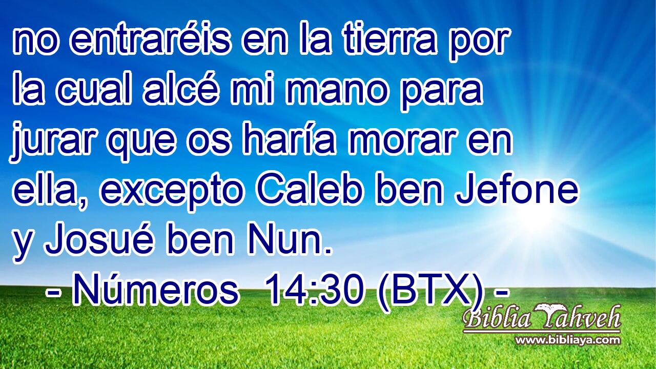 no entraréis en la tierra por la cual alcé mi mano para jurar que os haría morar en ella, excepto Caleb ben Jefone y Josué ben Nun.