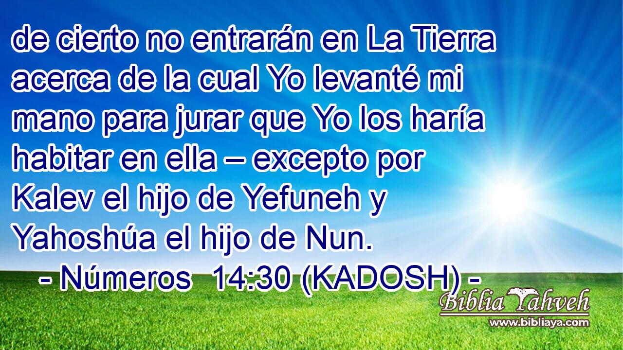  de cierto no entrarán en La Tierra acerca de la cual Yo levanté mi mano para jurar que Yo los haría habitar en ella – excepto por Kalev el hijo de Yefuneh y Yahoshúa el hijo de Nun. 